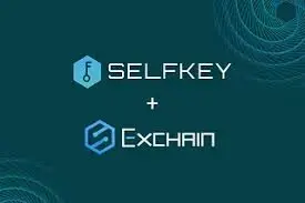 SelfKey